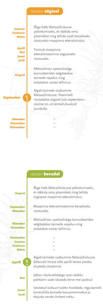 Kas metsataimi istutade kevadel või sügisel? Valgamaa Metsaühistu